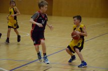 DSC_0015 (Kopírovat)