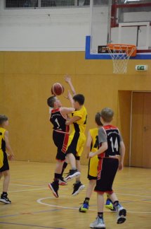 DSC_0020 (Kopírovat)