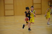 DSC_0012 (Kopírovat)