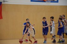 DSC_0015 (Kopírovat)