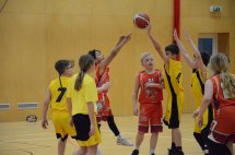 DSC_0010 (Kopírovat)