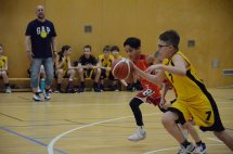 DSC_0011 (Kopírovat)