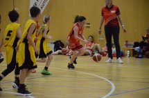 DSC_0012 (Kopírovat)