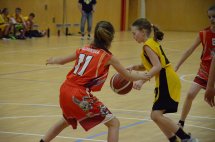 DSC_0015 (Kopírovat)