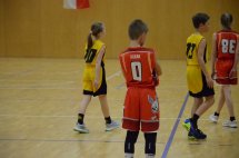 DSC_0019 (Kopírovat)