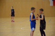 DSC_0013 (Kopírovat)