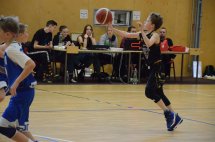 DSC_0017 (Kopírovat)