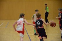 DSC_0008 (Kopírovat)