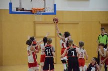 DSC_0016 (Kopírovat)