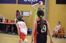 DSC_0019 (Kopírovat)