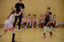 DSC_0005 (Kopírovat)