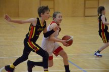 DSC_0011 (Kopírovat)