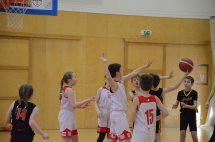 DSC_0017 (Kopírovat)