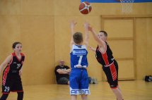 DSC_0011 (Kopírovat)