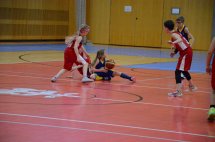 DSC_0887 (Kopírovat)