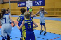 DSC_1228 (Kopírovat)