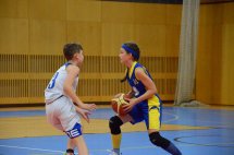 DSC_1237 (Kopírovat)