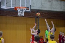 DSC_1715 (Kopírovat)