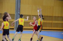 DSC_1731 (Kopírovat)