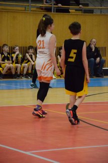 DSC_1809 (Kopírovat)