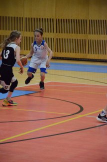 DSC_0009 (Kopírovat)