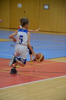 DSC_0010 (Kopírovat)