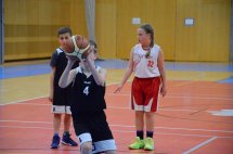 DSC_0337 (Kopírovat)