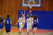 DSC_0287 (Kopírovat)