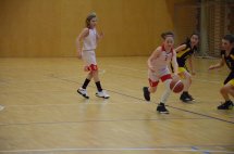 DSC_0802 (Kopírovat)