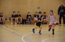 DSC_0817 (Kopírovat)