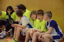 DSC_0018 (Kopírovat)