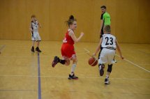 DSC_0017 (Kopírovat)