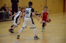 DSC_0019 (Kopírovat)